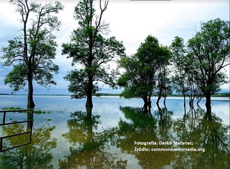 Park Przyrody Lonjsko polje